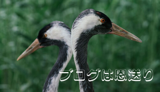 ブログでやっていくべきことは恩送り