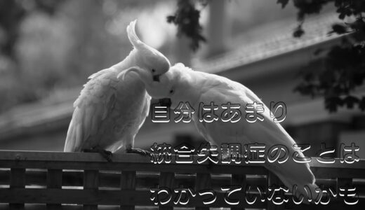 自分には統合失調症のことはわからないかもしれない