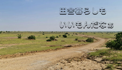 田舎暮らしもいいもんだよなぁ