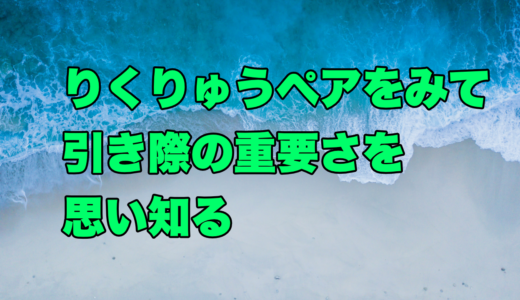 りくりゅうペアをみて引き際の重要さを思い知る