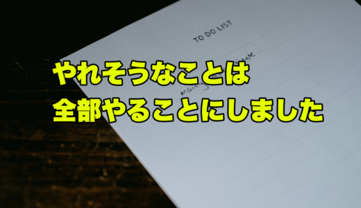 やれそうなことは全部やることにしました